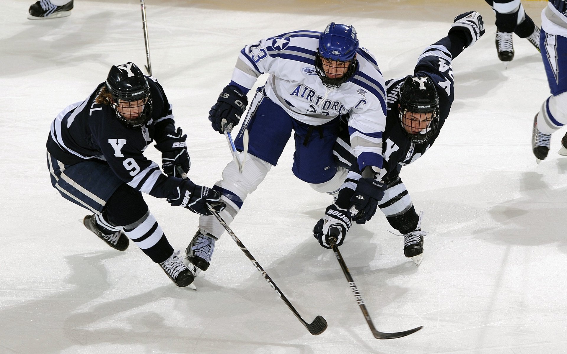 体育赛事票价变化趋势